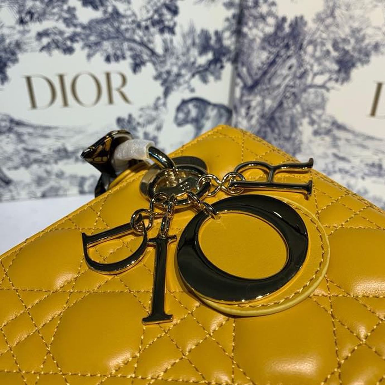 DI Medium Lady Bag Silver Hardware Yellow For Women 9.5in/24cm CD