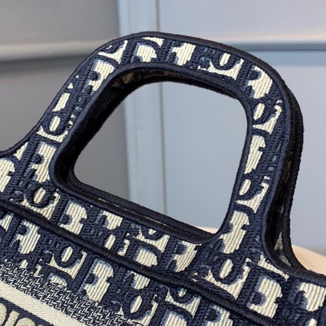 DI Mini Book Tote Bag Blue By Maria Grazia Chiuri For Women 9in/22cm CD S5475ZRIW_M928