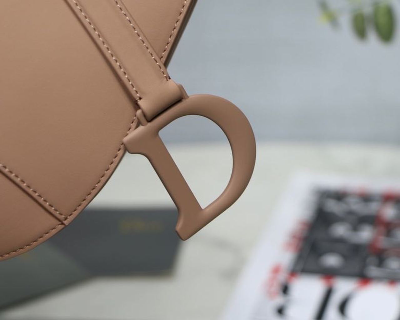 DI Medium Saddle Bag Beige Ultramatte Canvas For Women 25cm/10in CD