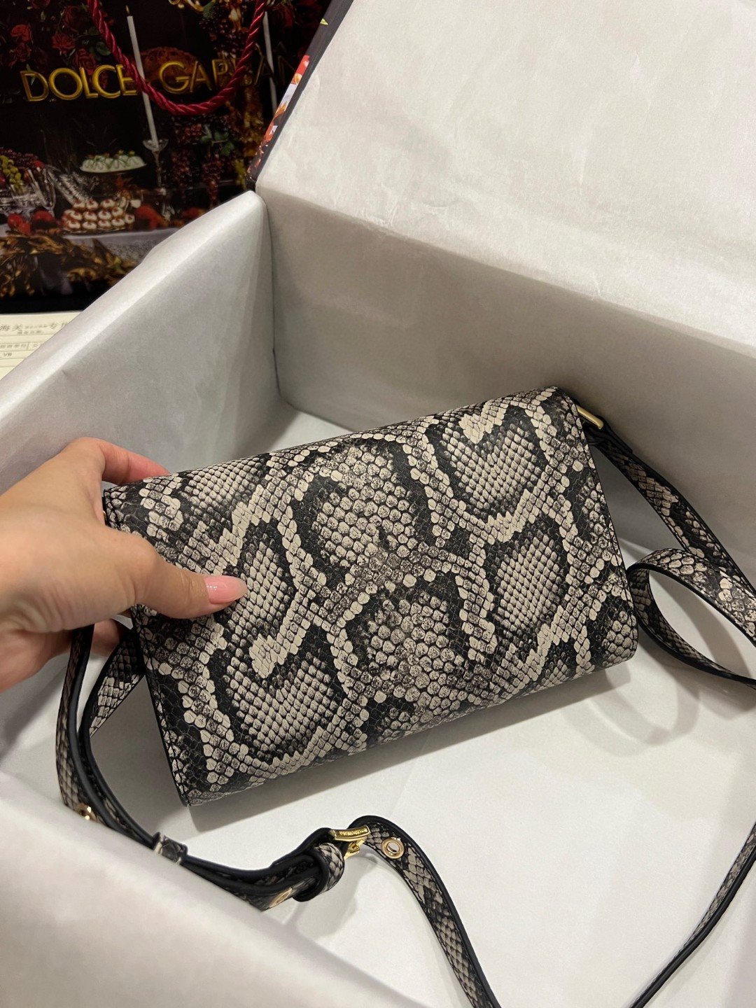 DG 3.5 Clutch Muticolour For Women 8.3in/21cm DG