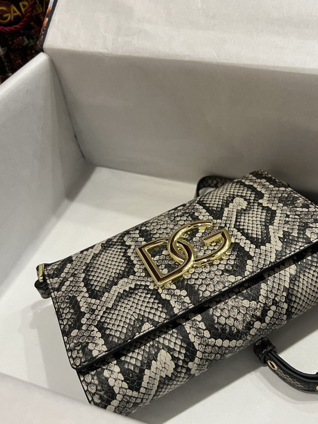 DG 3.5 Clutch Muticolour For Women 8.3in/21cm DG
