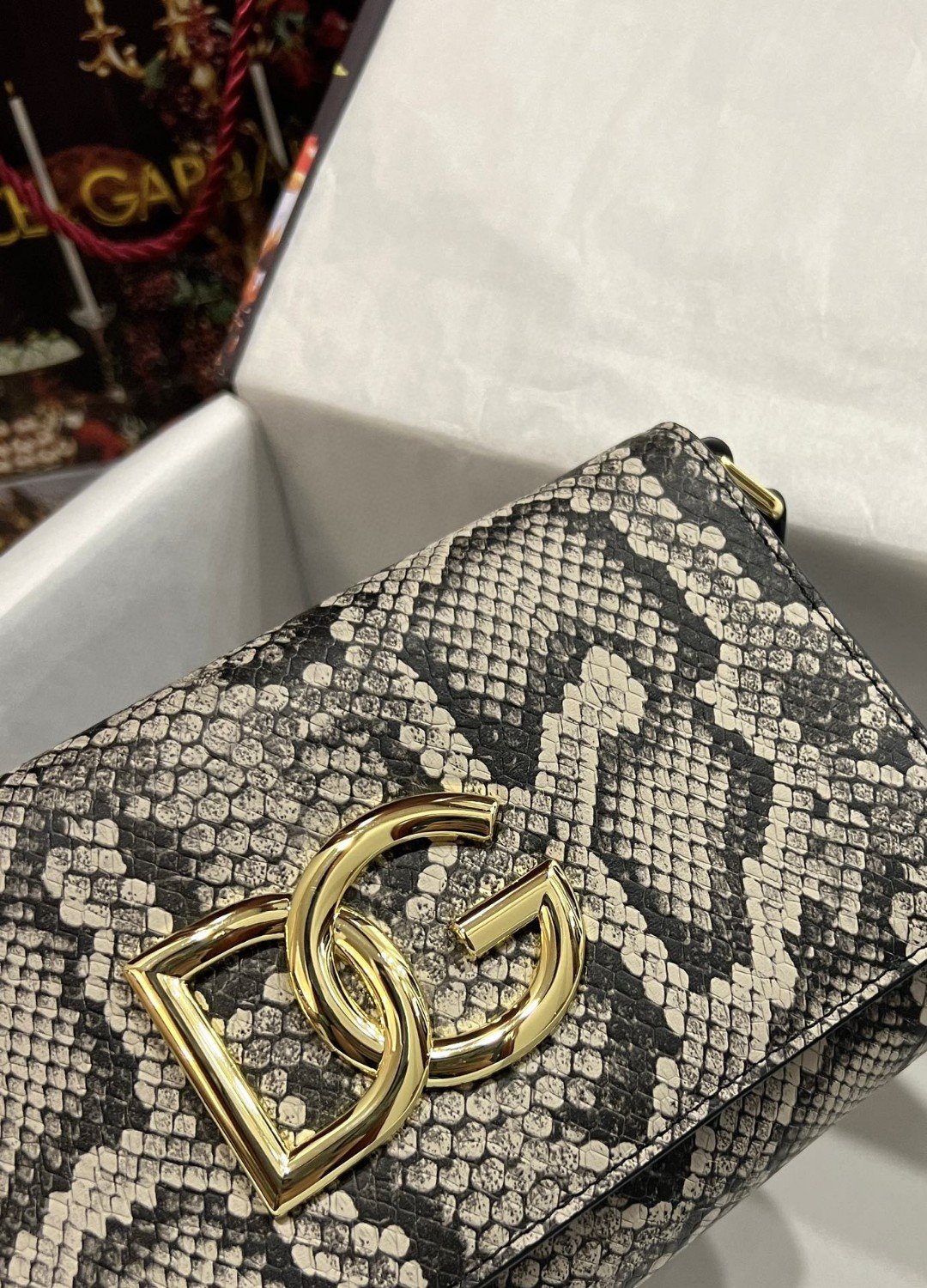 DG 3.5 Clutch Muticolour For Women 8.3in/21cm DG