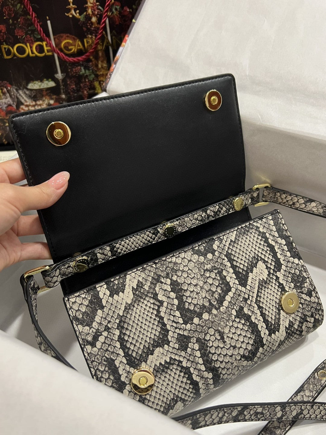 DG 3.5 Clutch Muticolour For Women 8.3in/21cm DG