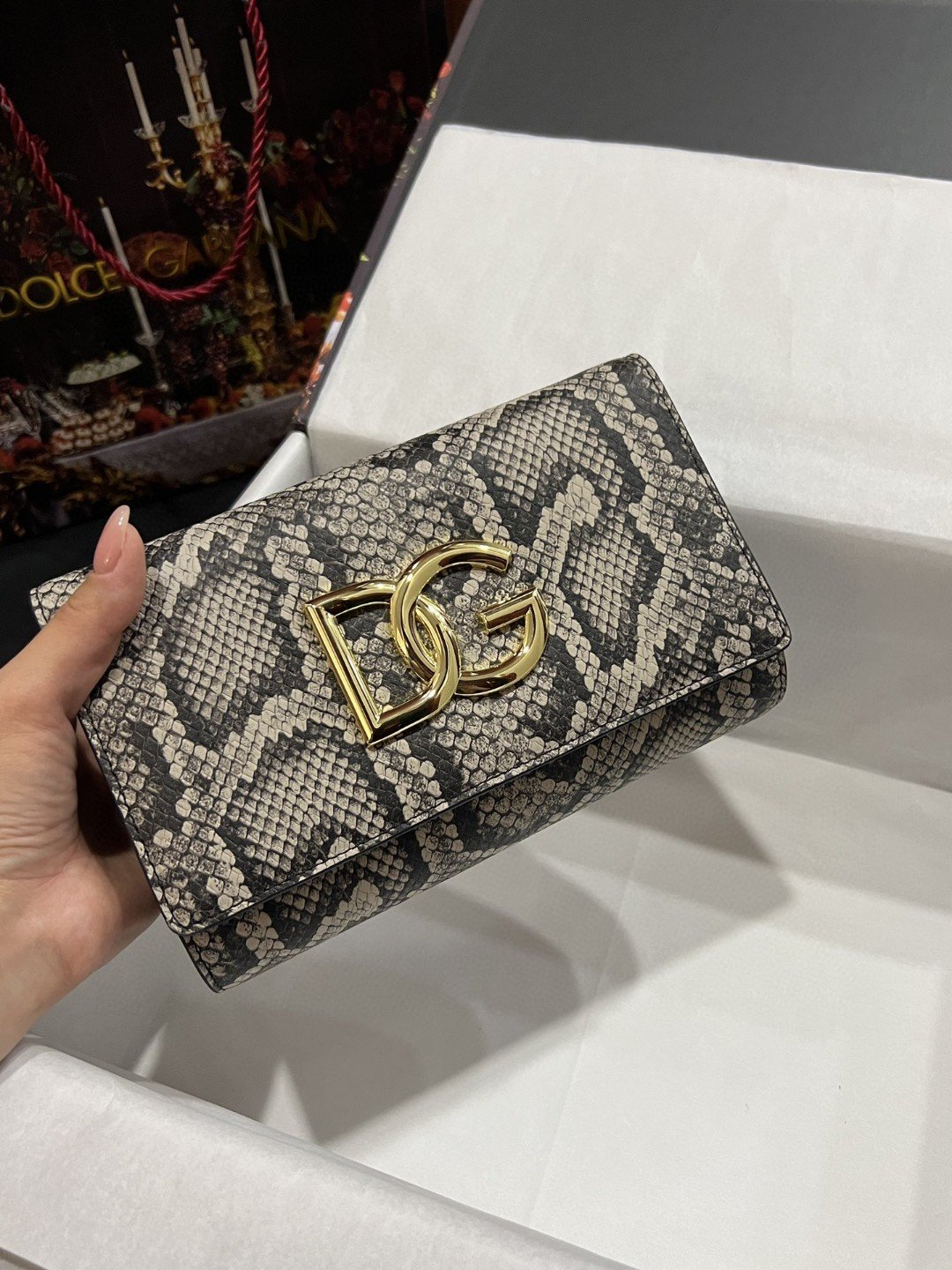 DG 3.5 Clutch Muticolour For Women 8.3in/21cm DG