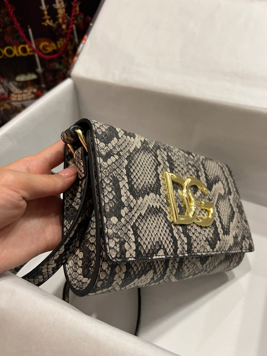 DG 3.5 Clutch Muticolour For Women 8.3in/21cm DG