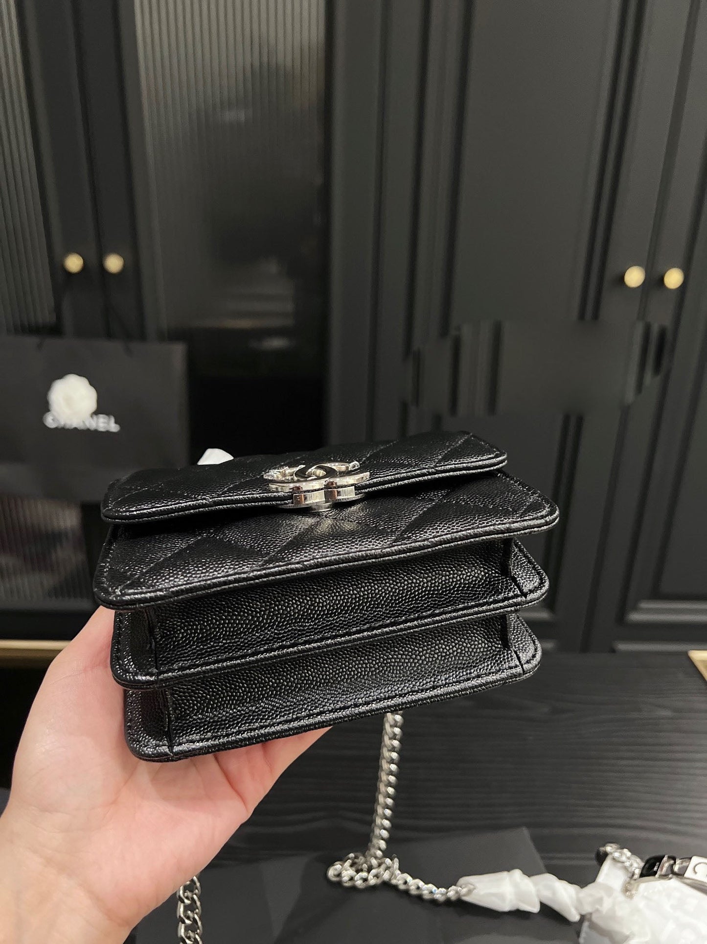 VL - New Luxury Bags CHL 479