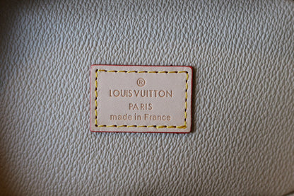 Ver Fashion Lu-Vi Bags - 16982