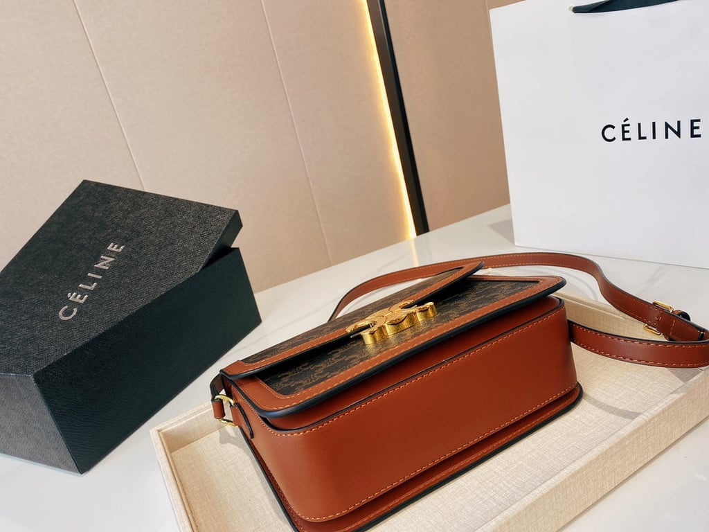 CE CLASSIQUE TRIOMPHE BAG IN TRIOMPHE CANVAS AND CALFSKIN TAN 22CM