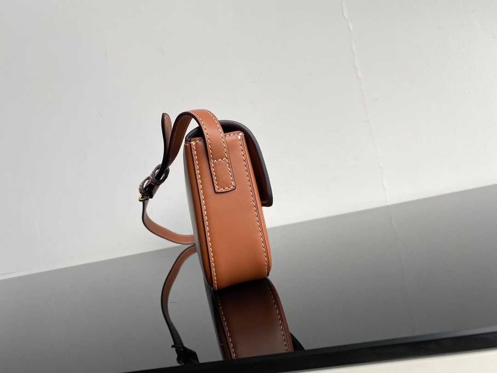 CE TRIOMPHE SHOULDER BAG IN SHINY CALFSKIN BROWN
