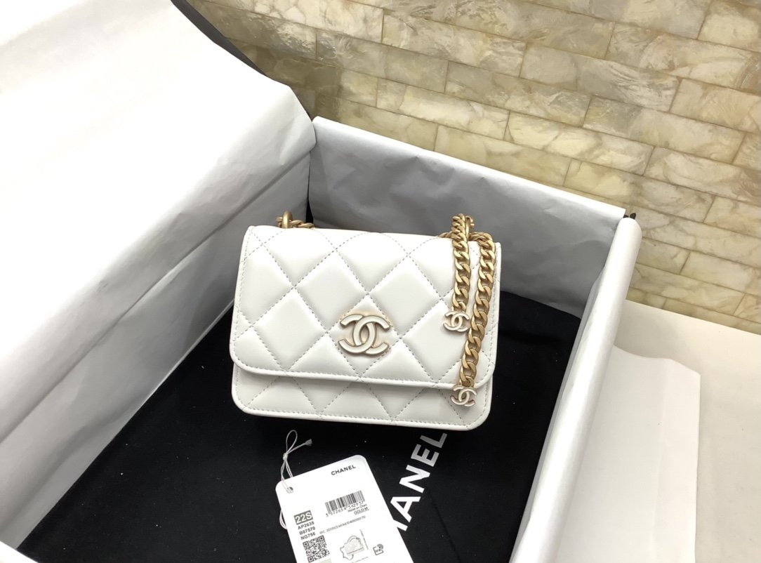 ChanelSpring And Summer 22C White For Women, Women’s Bags 6.1in/15.5cm